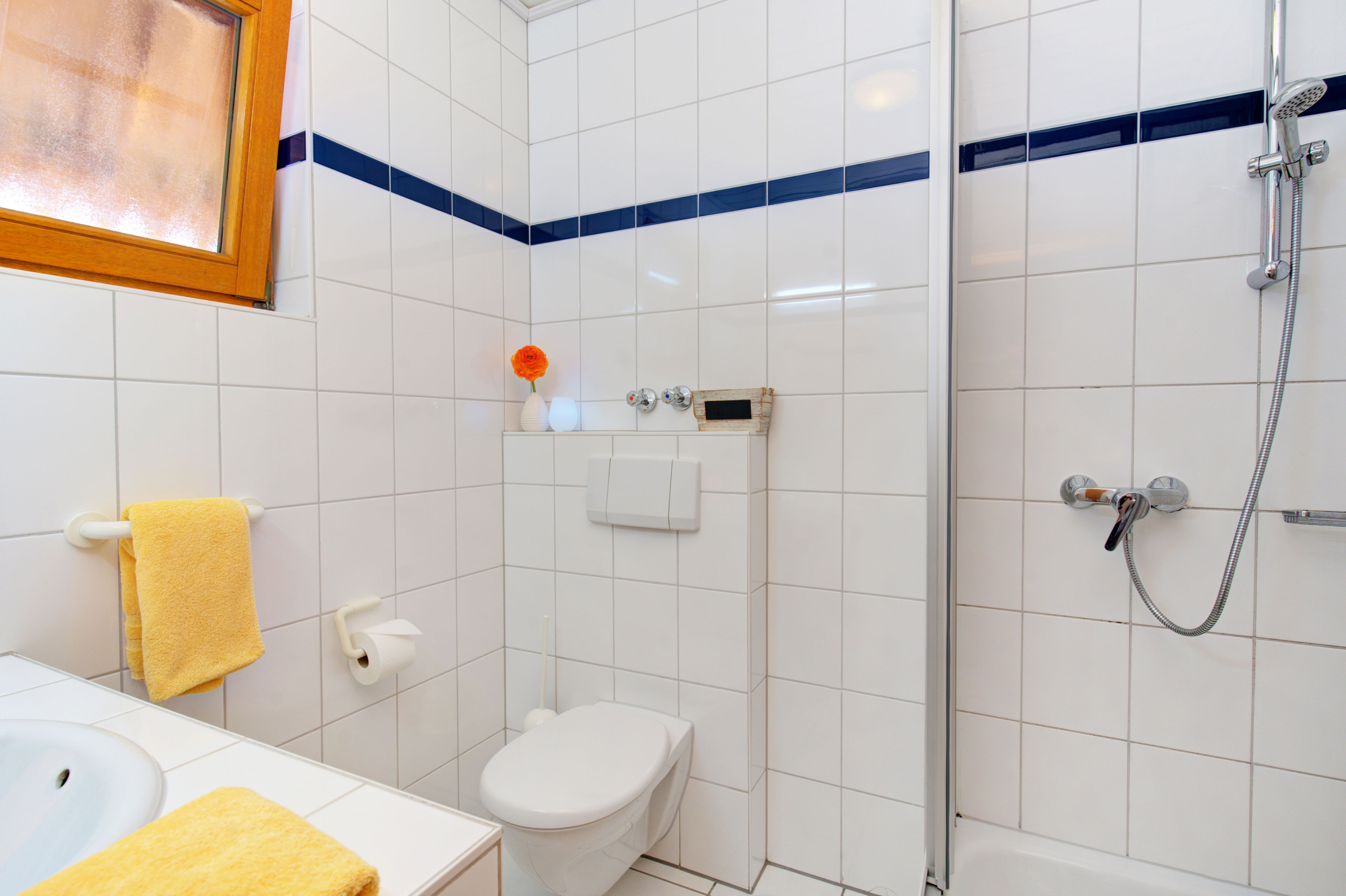 Mountainbikehotel: Apartment & Landhotel Zum Storchennest