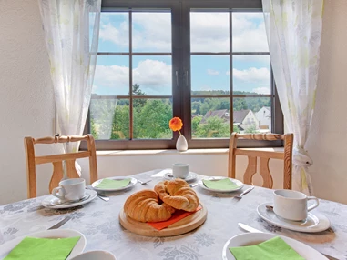 Mountainbikehotel: Apartment & Landhotel Zum Storchennest