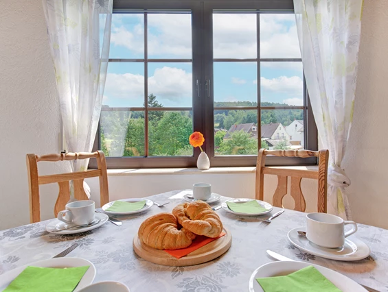Mountainbikehotel: Apartment & Landhotel Zum Storchennest