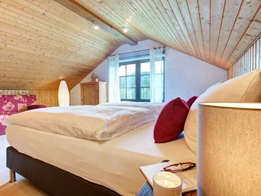 Mountainbikehotel: Apartment & Landhotel Zum Storchennest