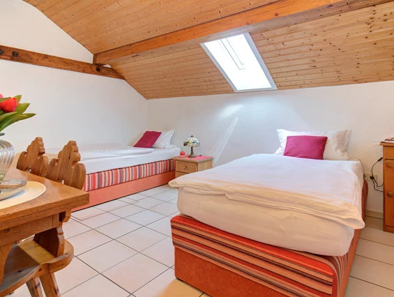 Mountainbikehotel: Apartment & Landhotel Zum Storchennest