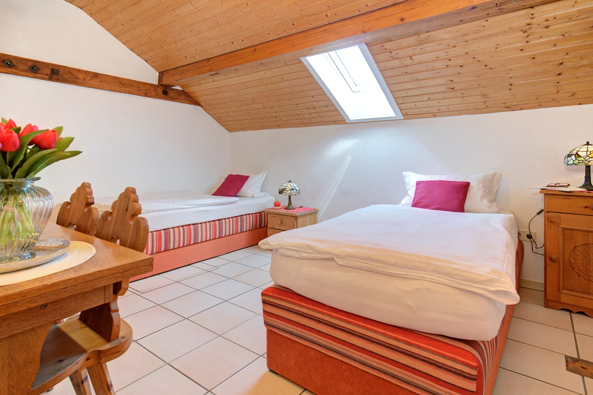Mountainbikehotel: Apartment & Landhotel Zum Storchennest