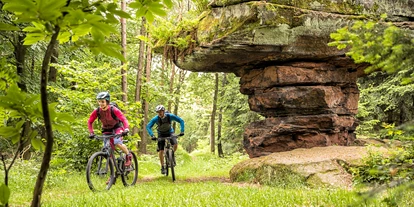 Mountainbike Urlaub - Saarbrücken - Mountainbiken im Pfälzerwald - Apartment & Landhotel Zum Storchennest