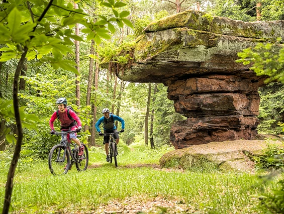 Mountainbikehotel: Mountainbiken im Pfälzerwald - Apartment & Landhotel Zum Storchennest