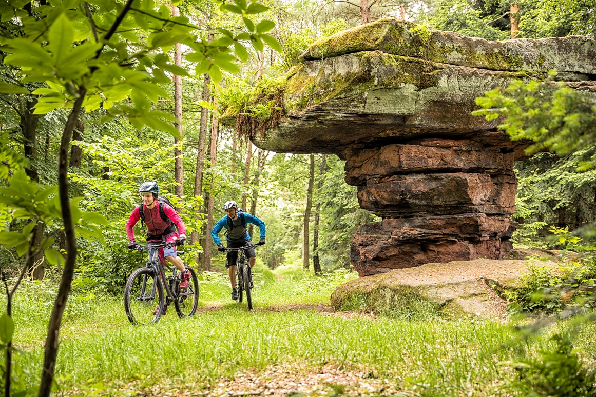 Mountainbikehotel: Mountainbiken im Pfälzerwald - Apartment & Landhotel Zum Storchennest