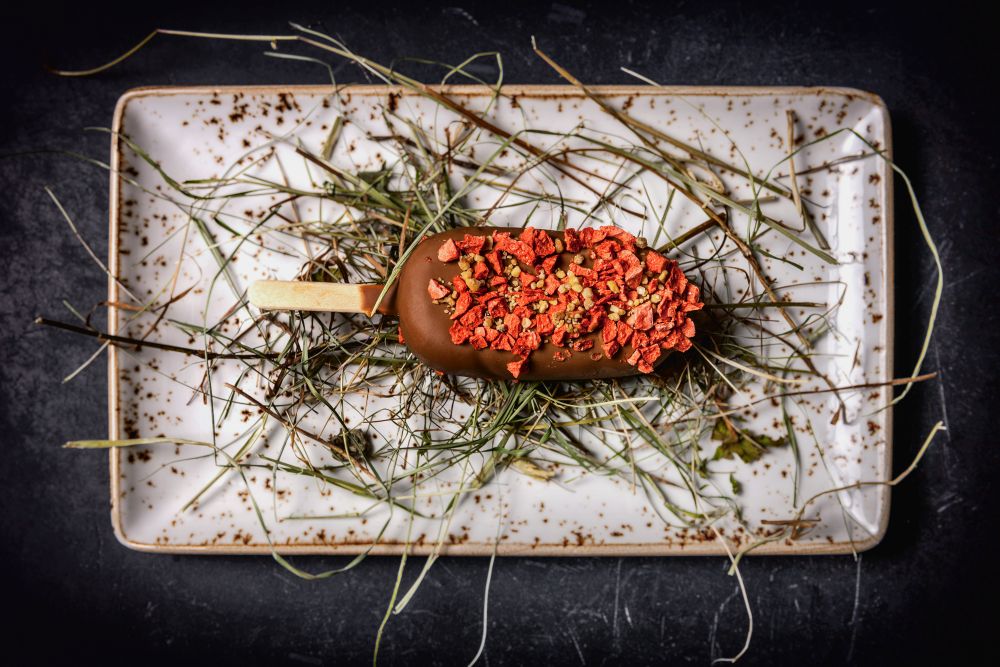 Mountainbikehotel: Valsana Hotel Arosa