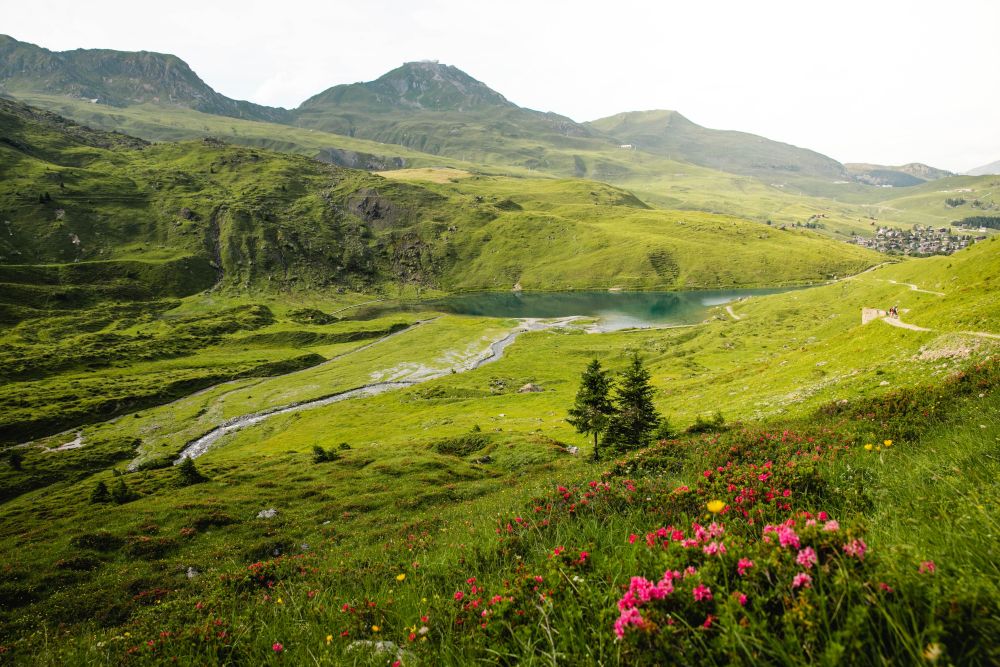 Mountainbikehotel: Valsana Hotel Arosa