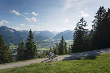 Mountainbikehotel: Mountainbiken - Die Lilie - Hotel Garni
