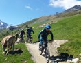 Mountainbikehotel: Alpengasthof Grüner