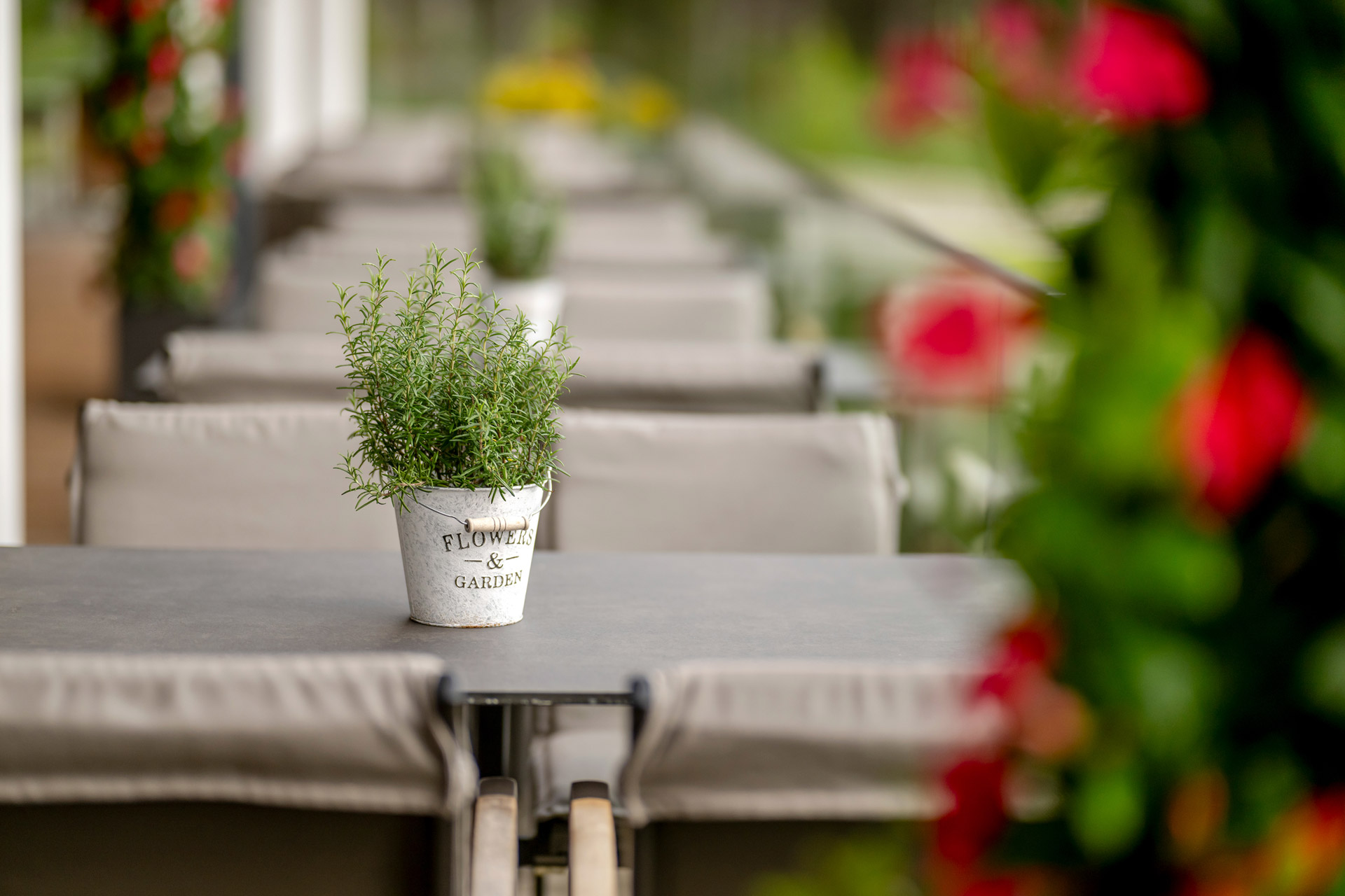 Mountainbikehotel: Zugspitz Resort