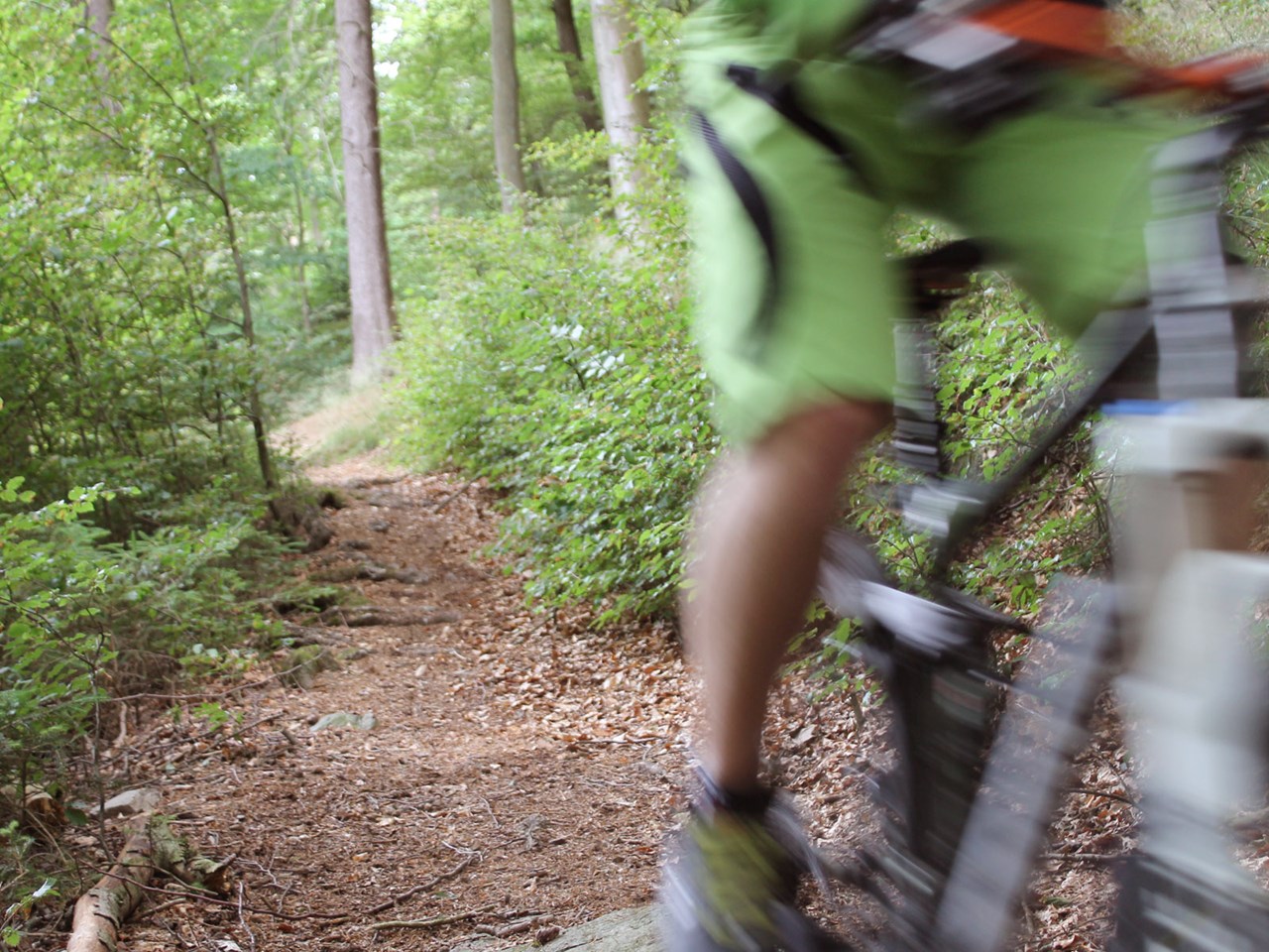 Landgasthof Rüppel Trail Übersicht Knackige Trailrunde im Valmetal