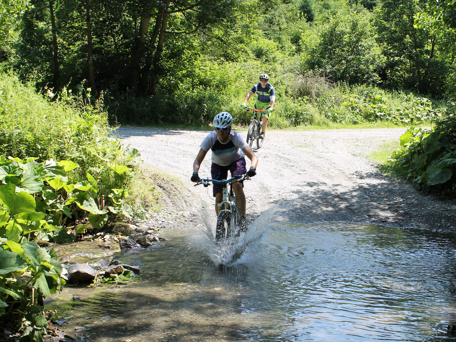 Mountainbike-Hotels mit gefhrte MTB-Touren in Deutschland | MTB-hotels.info