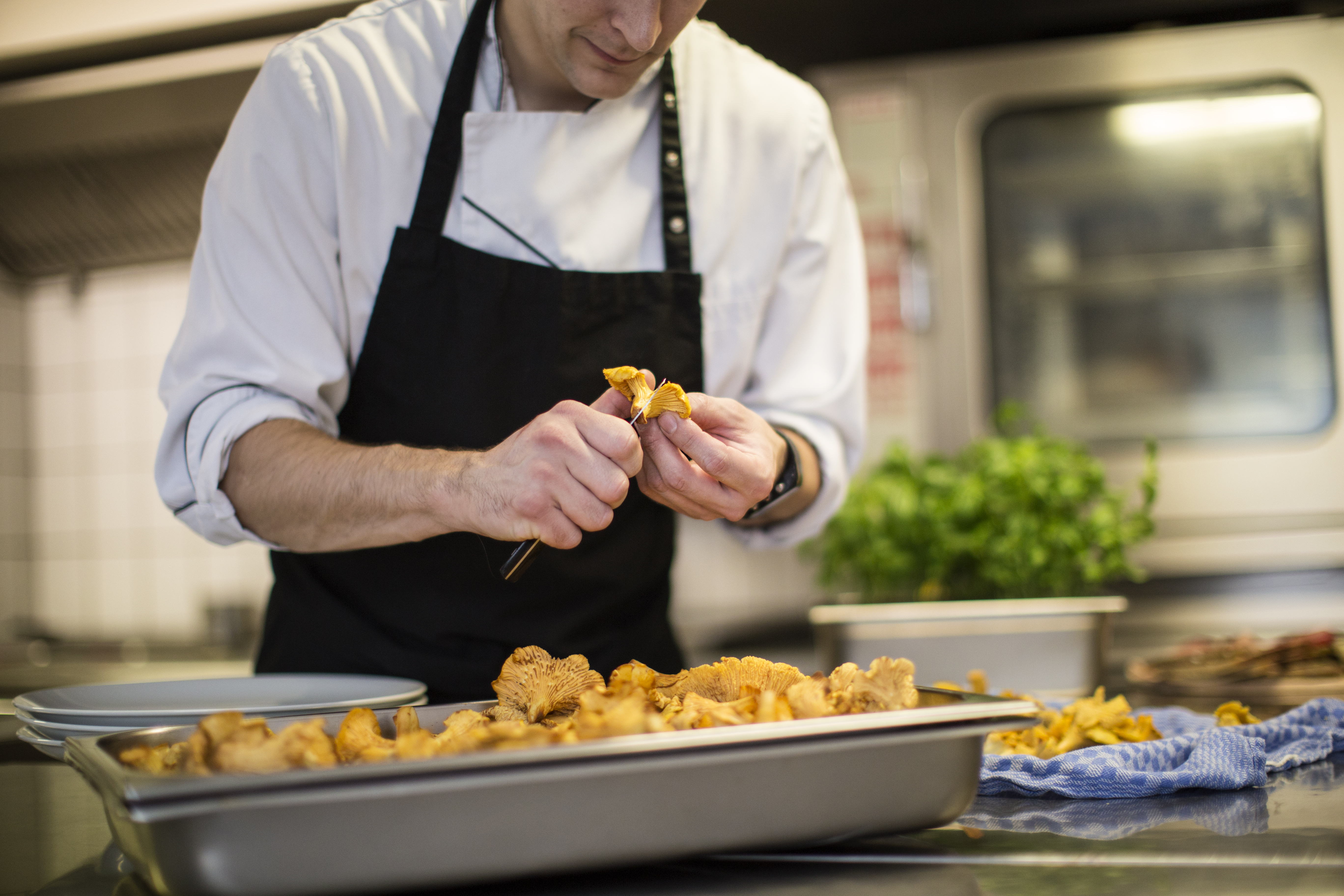 Mountainbikehotel: Landgasthof Rüppel
