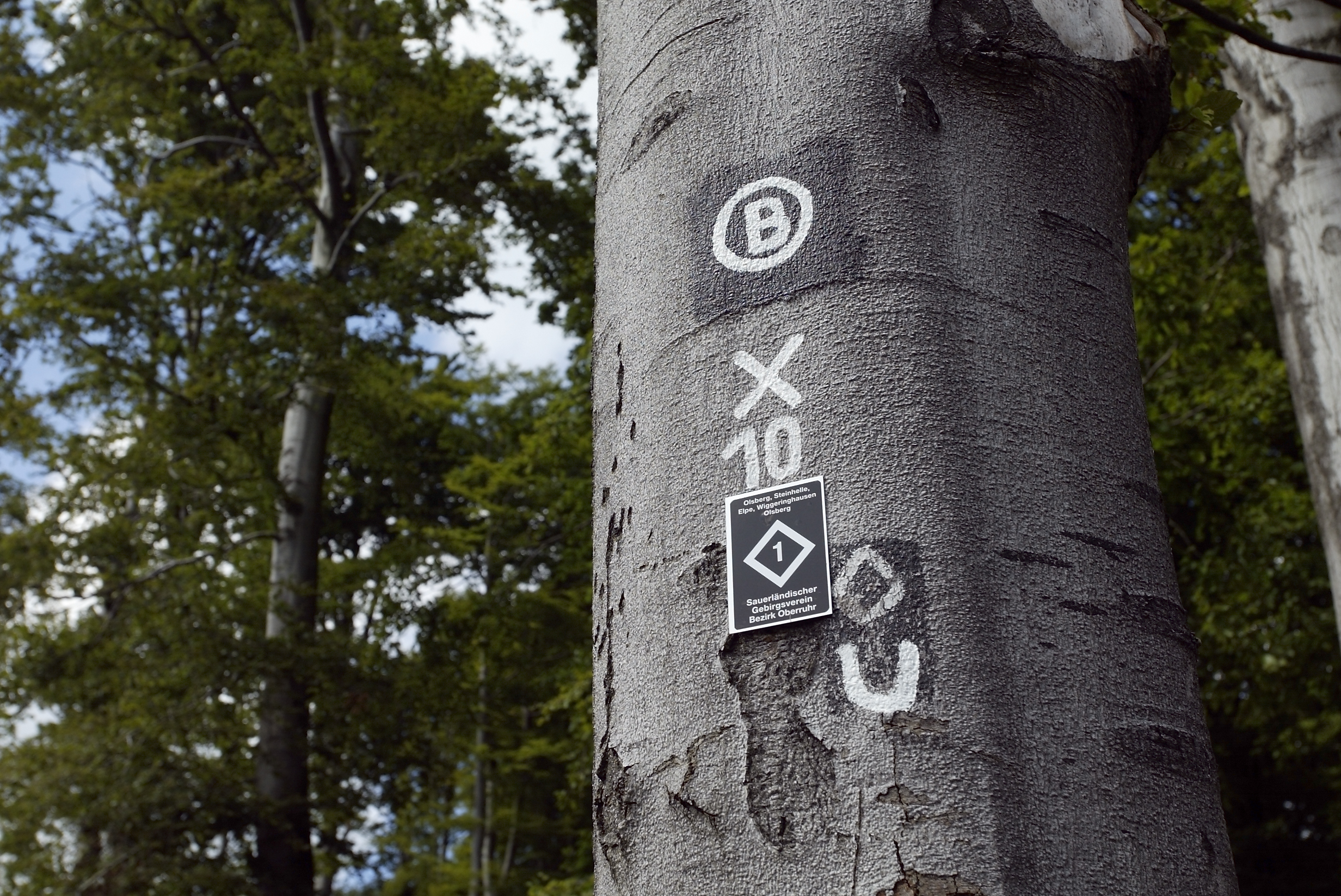 Mountainbikehotel: Landgasthof Rüppel