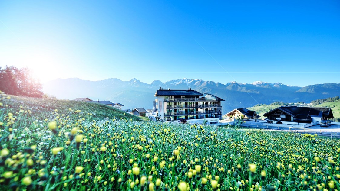Mountainbikehotel: Alps Lodge im Sommer - Alps Lodge