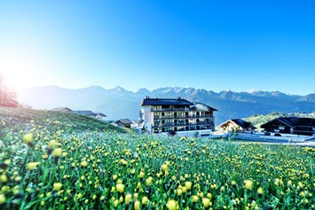 Mountainbikehotel: Alps Lodge im Sommer - Alps Lodge