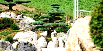 Mountainbike Urlaub - Hotel-Schwerpunkt: Mountainbike & Wandern - Alps 1500 - Alps Lodge