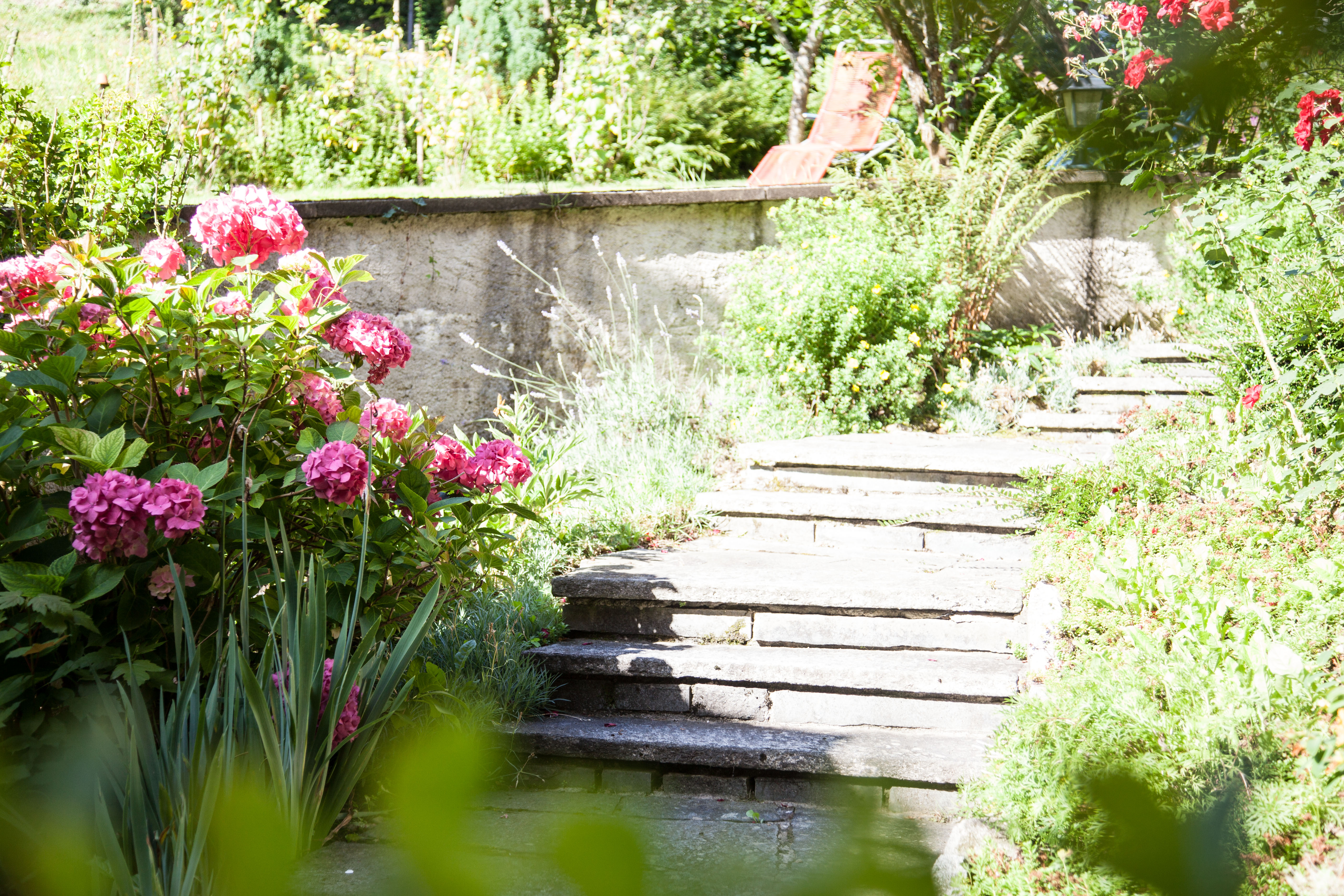 Mountainbike Urlaub - Therme - Garten - Hotel Morgensonne