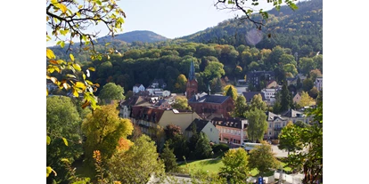 Mountainbike Urlaub - PLZ 79286 (Deutschland) - Ortsansicht - Hotel Morgensonne