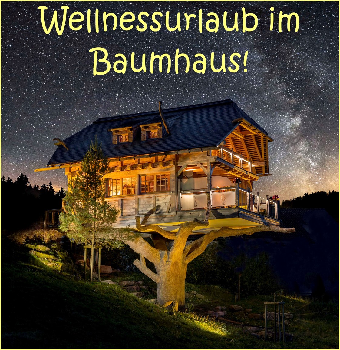 Mountainbikehotel: Finnische Sauna im Baumhaus - Wellness Hotel Tanne Tonbach