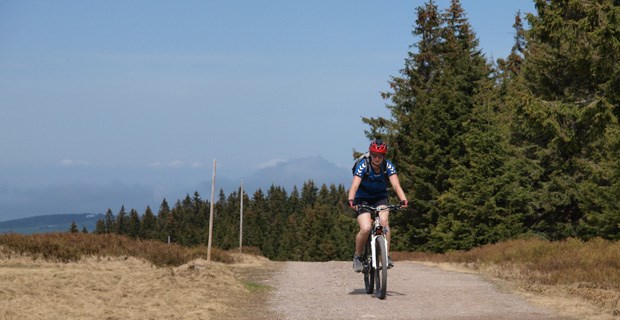 Mountainbikehotel: Waldhotel am Notschreipass