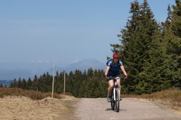 Mountainbikehotel: Waldhotel am Notschreipass