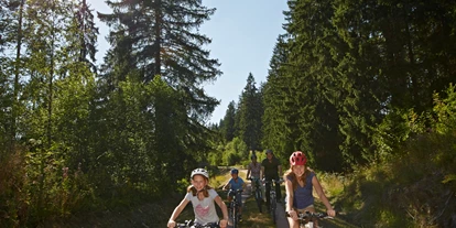 Mountainbike Urlaub - PLZ 79286 (Deutschland) - Waldhotel am Notschreipass