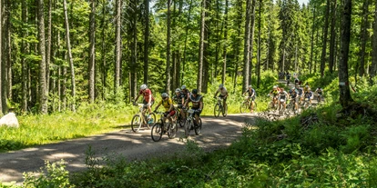 Mountainbike Urlaub - PLZ 79286 (Deutschland) - Waldhotel am Notschreipass