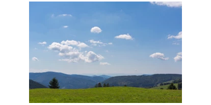 Mountainbike Urlaub - PLZ 79286 (Deutschland) - Aussicht vom Radschert  - Waldhotel am Notschreipass