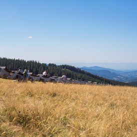 Mountainbikehotel: Stübenwasen Ausblick - Waldhotel am Notschreipass
