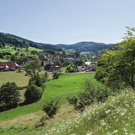 Mountainbikehotel: Prinzbach - Das Dorf - Hotel Badischer Hof