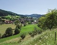 Mountainbikehotel: Prinzbach - Das Dorf - Hotel Badischer Hof