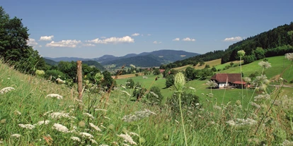 Mountainbike Urlaub - Hotel-Schwerpunkt: Mountainbike & Wandern - Landschaft rund um Prinzbach - Hotel Badischer Hof