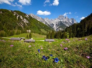 Hotel Edelweiss-Berchtesgaden Ausflugsziele Nationalpark Berchtesgaden