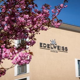 Mountainbikehotel: Hotel im Frühjahr - Hotel Edelweiss-Berchtesgaden