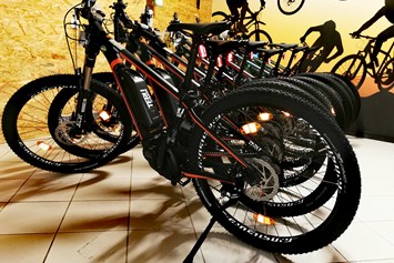 Mountainbikehotel: E-Bikes - Hotel Zum Kramerwirt