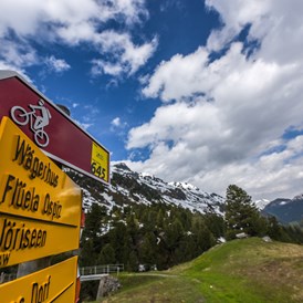 Mountainbikehotel: InterContinental Davos