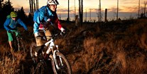 Mountainbike Urlaub - Biketransport: Bergbahnen - Zwischen den Bäumen spielen - Hotel der Bäume