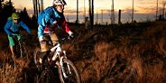 Mountainbike Urlaub - Biketransport: Bergbahnen - Zwischen den Bäumen spielen - Hotel der Bäume