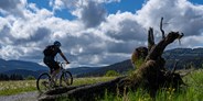 Mountainbike Urlaub - Ruderting - Erkunden Sie entspannt die schöne Natur im und um den Nationalpark Bayerischer Wald. Wir zeigen Ihnen die schönsten Radwege und interessante Haltepunkte mit schöner Aussicht und unberührter Natur. Für den kleinen Hunger zwischendurch bieten wir gegen Aufpreis auch ein Lunchpaket zum Picknick an.  - Das Reiners