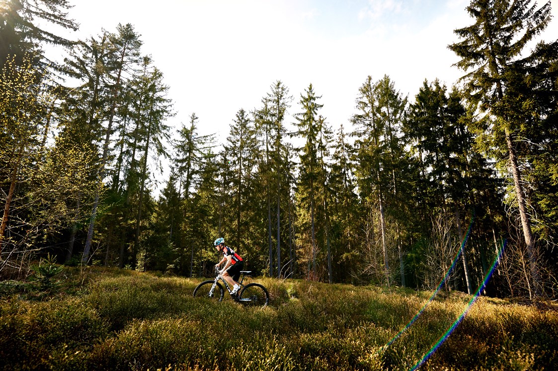 Mountainbikehotel: Erkunden Sie mit dem MTB die wundervolle Natur direkt vor der Haustür - Das Reiners