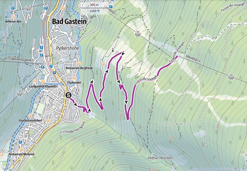 EUROPÄISCHER HOF Bad Gastein Touren Übersicht Mountainbikestrecke Mittelstation Graukogel