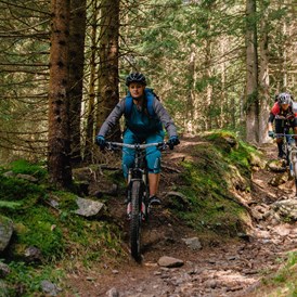 Mountainbikehotel: Downhill Trail  - Familien Sporthotel Brennseehof