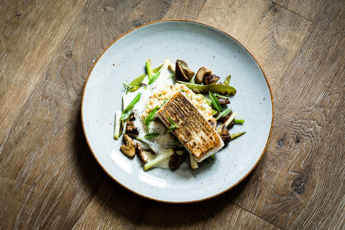 Mountainbike Urlaub - PLZ 79286 (Deutschland) - Hotel Restaurant Zum Storchen