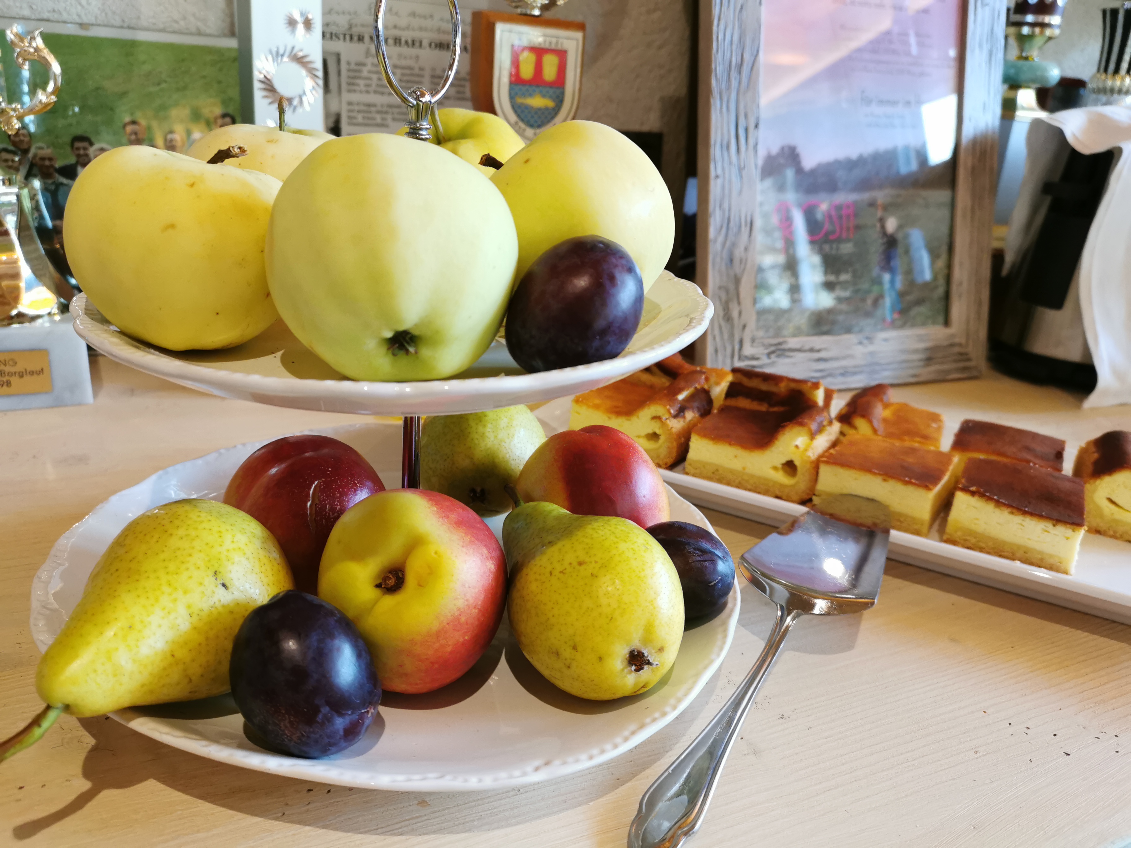 Mountainbikehotel: modern&renovated - Hotelpension Oberauer Wagrain***