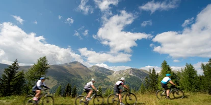 Mountainbike Urlaub - Umgebungsschwerpunkt: See - Biketour Region Nockberge - Slow Travel Resort Kirchleitn