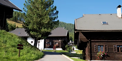 Mountainbike Urlaub - Umgebungsschwerpunkt: See - Dorfansicht Dorf Grosswild*** - Slow Travel Resort Kirchleitn