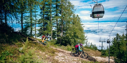 Mountainbike Urlaub - Umgebungsschwerpunkt: See - Pension Pirkdorfer See