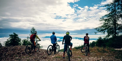 Mountainbike Urlaub - Umgebungsschwerpunkt: See - Pension Pirkdorfer See
