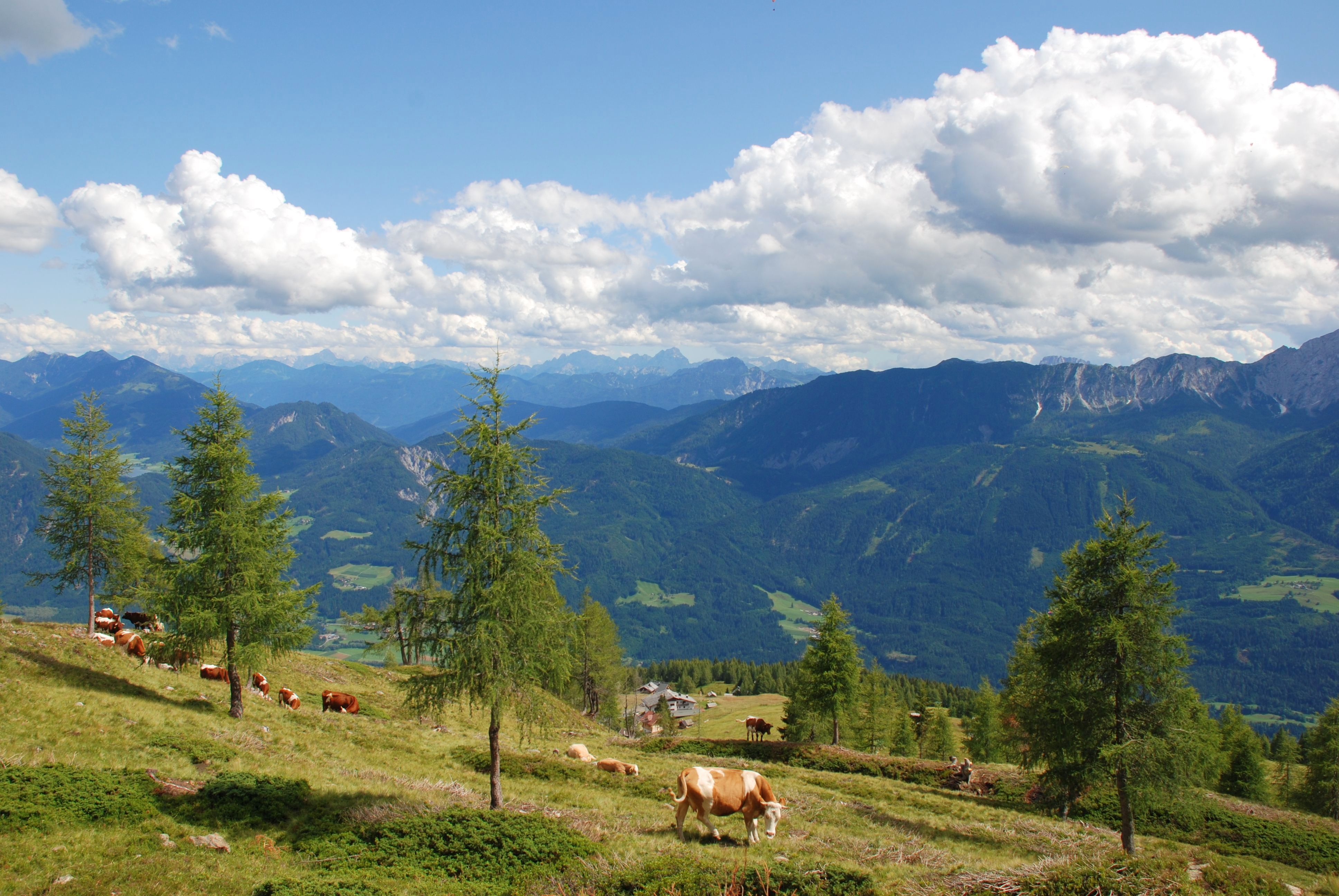 Hotel Glocknerhof Touren Übersicht MilkyWay: Oberberger Alm - Emberger Alm